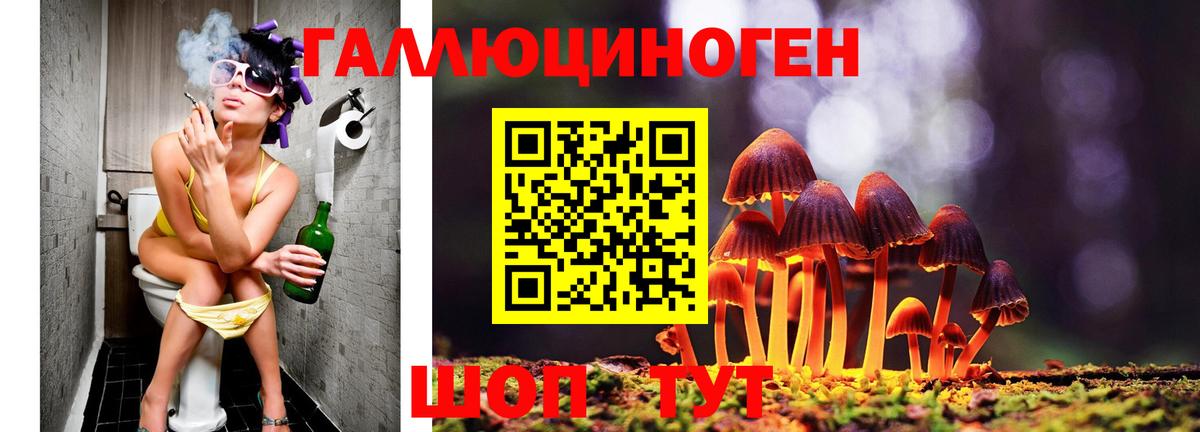 Балаково  магазин  наркотиков  Вход с VPN  Галлюциногенные грибы мухоморы 